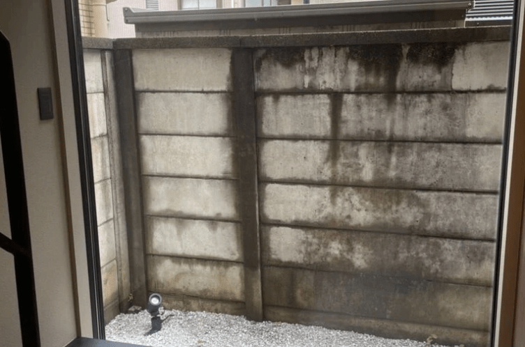 暗い玄関前と主庭が激変!アオダモとハイノキでつくるお洒落な庭の実例 隣の塀