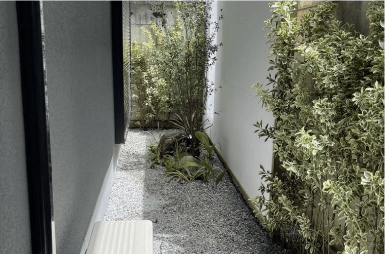 暗い玄関前と主庭が激変!アオダモとハイノキでつくるお洒落な庭の実例 隣の塀を隠す植栽