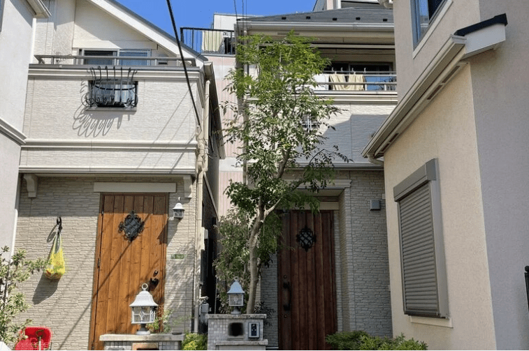 伸びすぎたシマトネリコの剪定|ビフォーアフターで解説 シマトネリコ剪定後